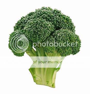 Broccoli021.jpg